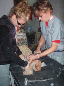 CMAT Nurses Maida Hotilovac (left) and Jeanette Van Minnen (right) remove a cast in Muzaffarabad.