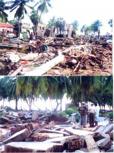 Workers at CMAT partner project site survey damage in Sri Lanka (January 1, 2005)